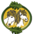 Logo Reiterverein Bornhöved und Umgebung e.V.